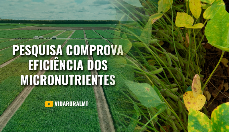 PESQUISA COMPROVA EFICIÊNCIA DOS MICRONUTRIENTES